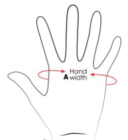 hand palm circumference